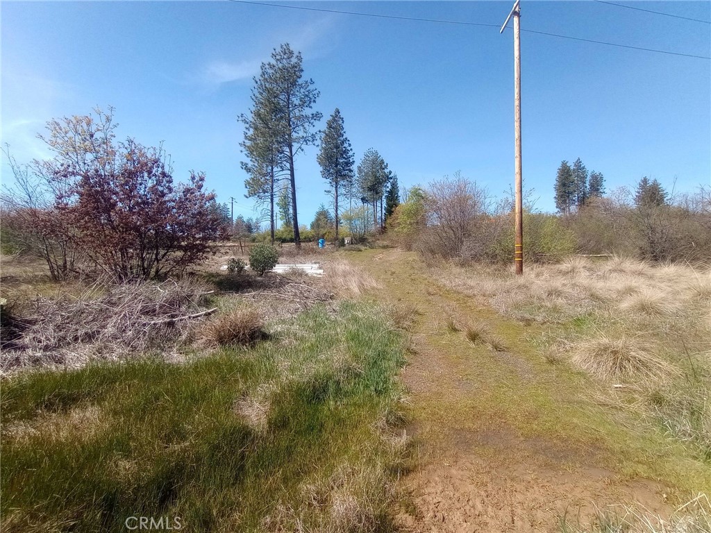 3515 Hoffman Road Oroville, CA 95965 - Photo 30 of 30 a view of a dry yard