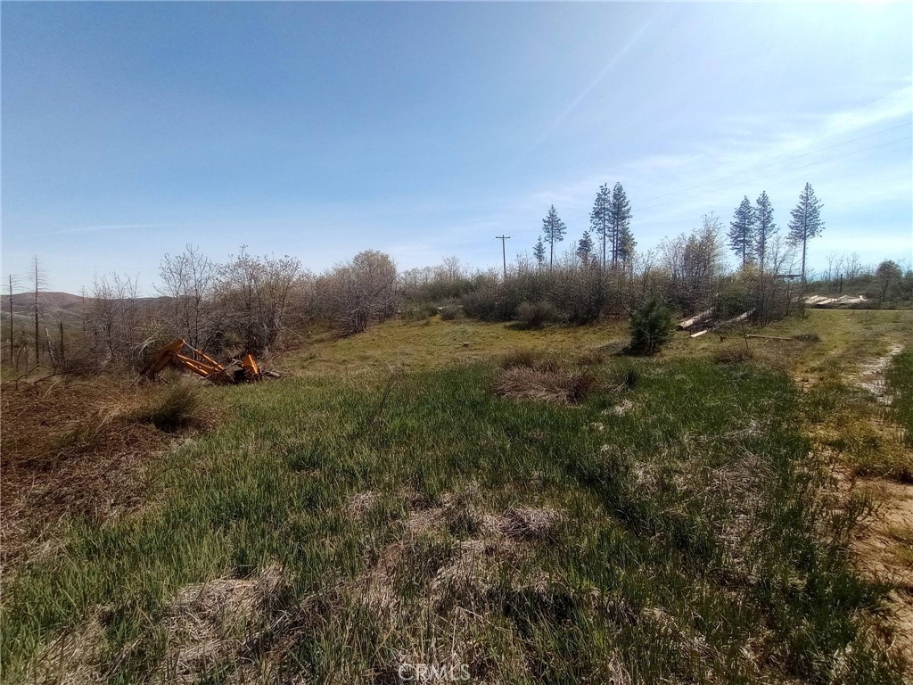 3515 Hoffman Road Oroville, CA 95965 - Photo 3 of 27