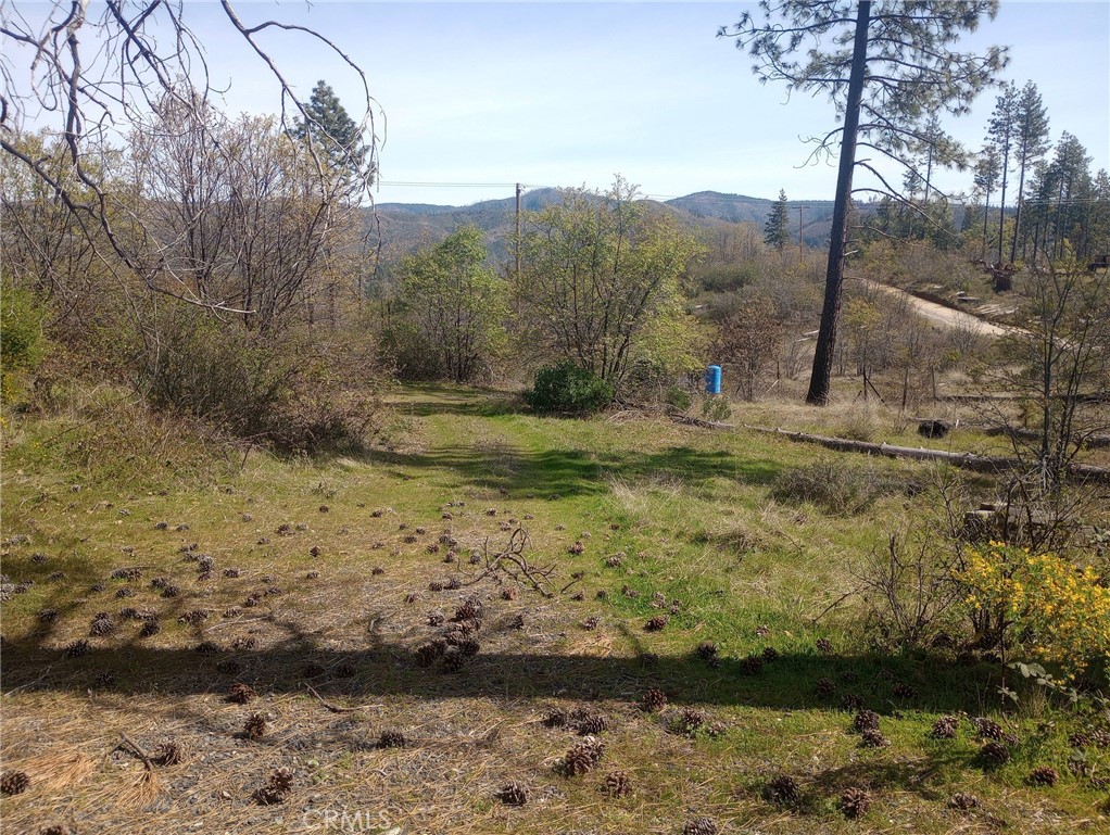 3515 Hoffman Road Oroville, CA 95965 - Photo 5 of 27