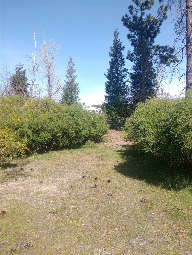 3515 Hoffman Road Oroville, CA 95965 - Photo 6 of 27