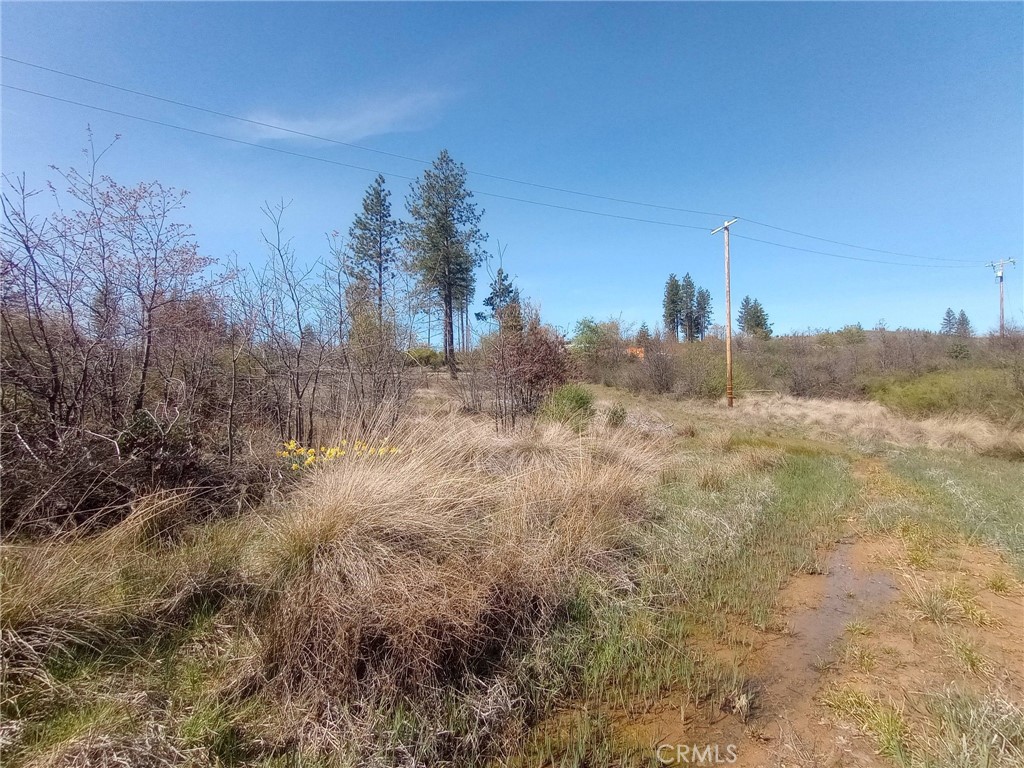 3515 Hoffman Road Oroville, CA 95965 - Photo 9 of 27