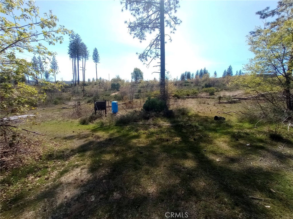 3515 Hoffman Road Oroville, CA 95965 - Photo 10 of 30 a view of a forest with trees