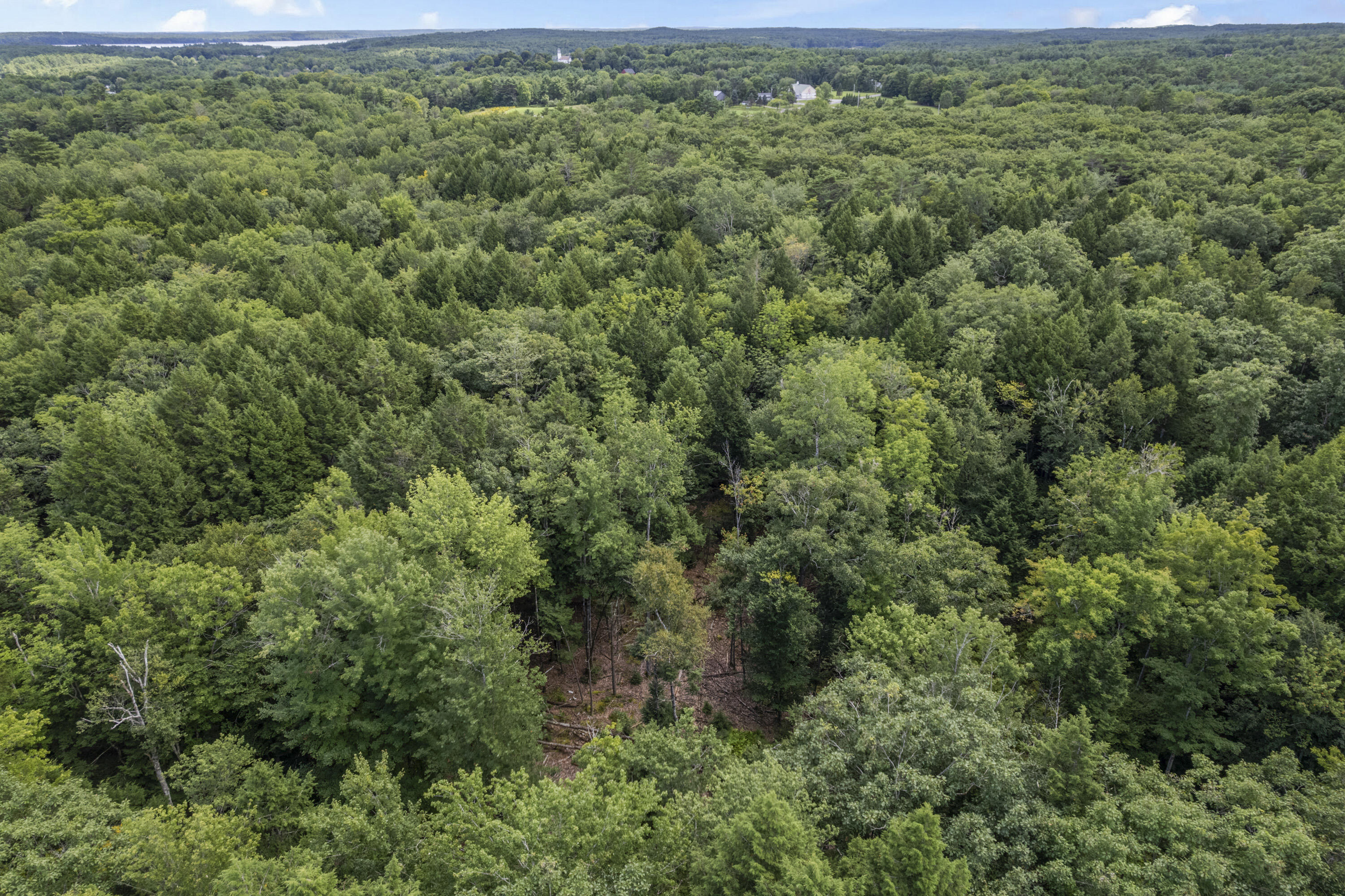 91 Millay Road Bowdoinham, ME 04008 - Photo 12 of 17 91 Millay Rd_109