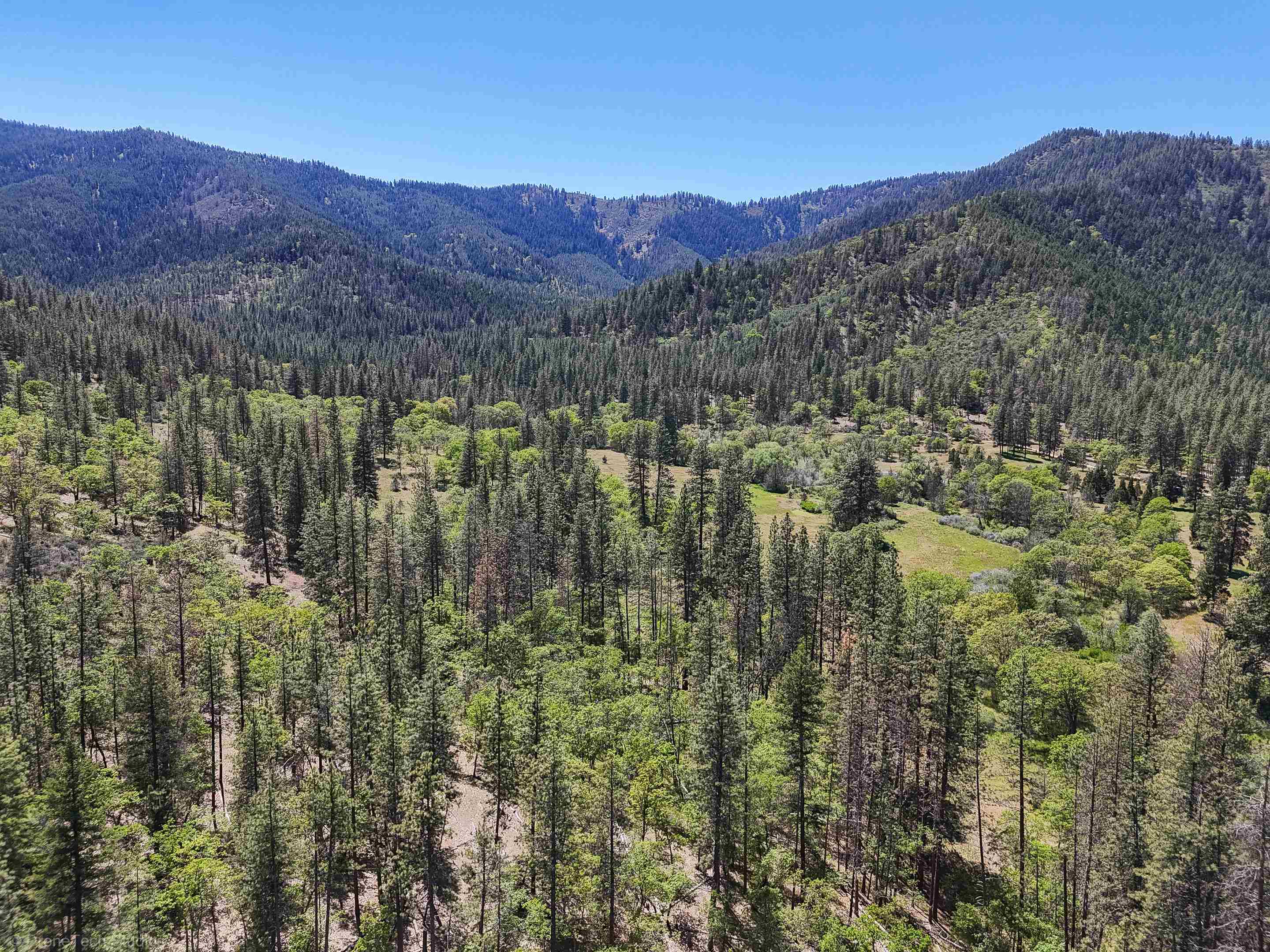 7226 Schulmeyer Gulch Road Yreka, CA 96097 - Photo 18 of 40 Gallery Image 18
