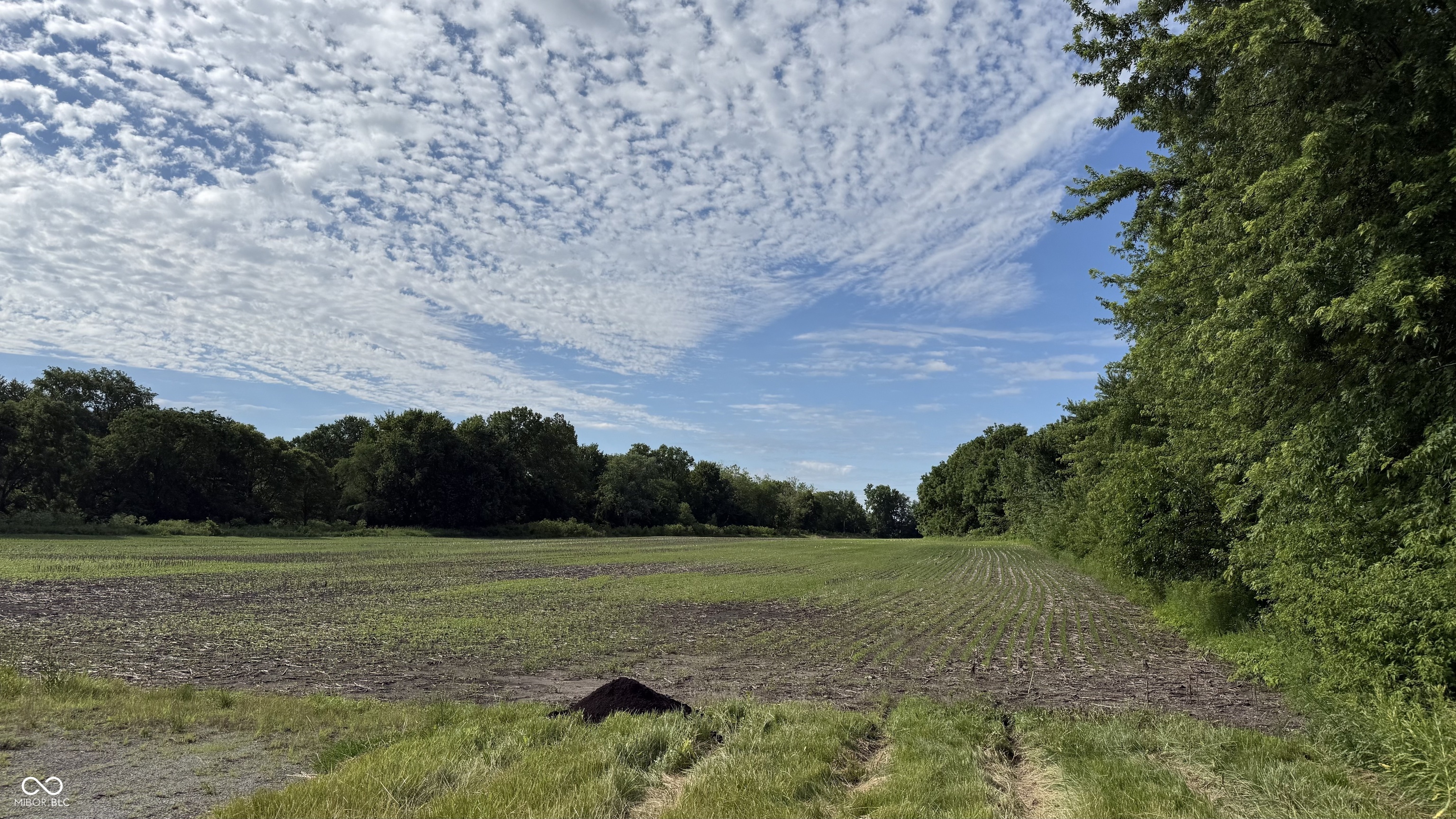 0 Us Highway 36 Pendleton, IN 46064 - Photo 20 of 32