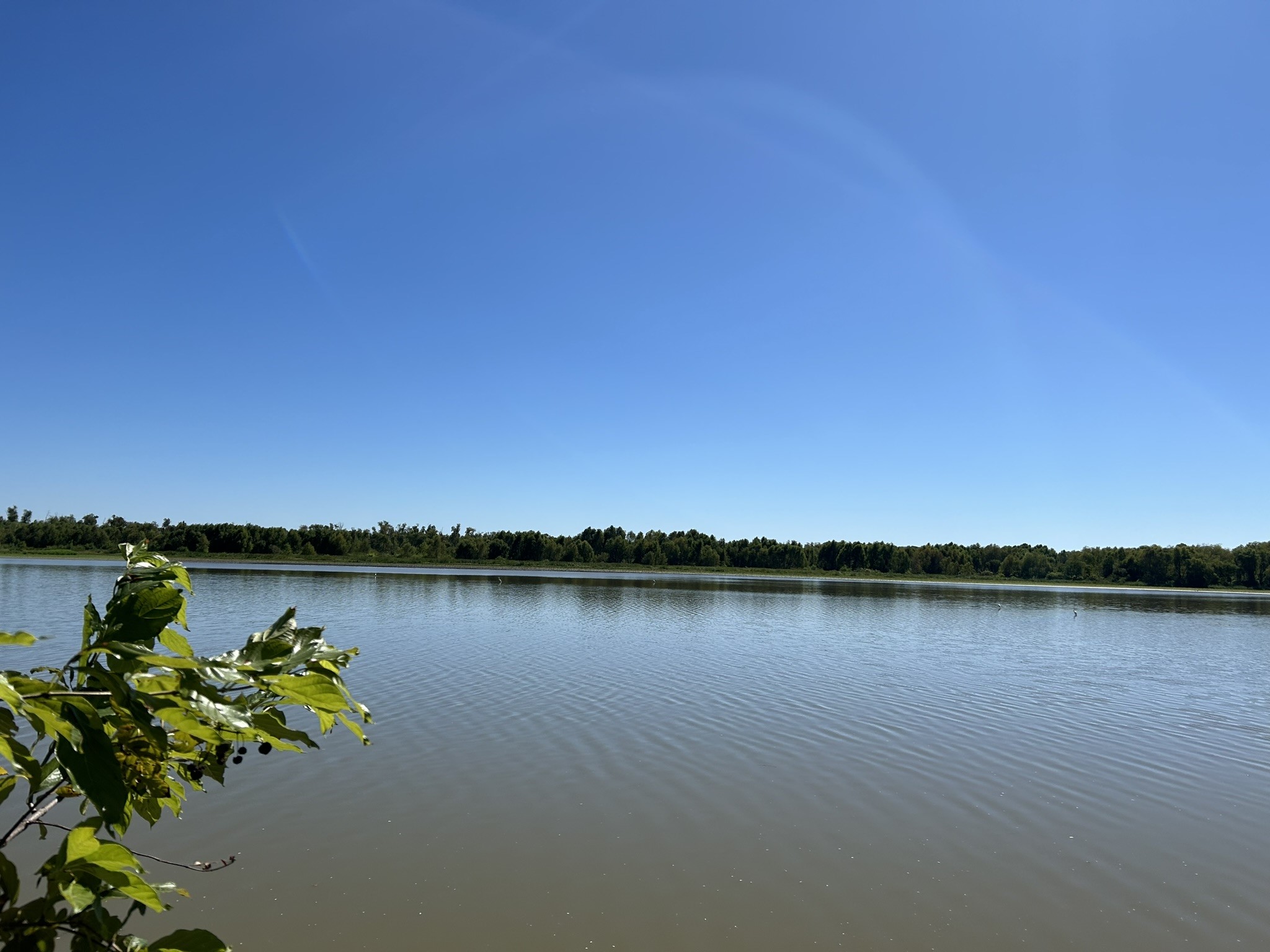 496 Campground Road Trinity, TX 75862 - Photo 20 of 21 Gallery Image 20