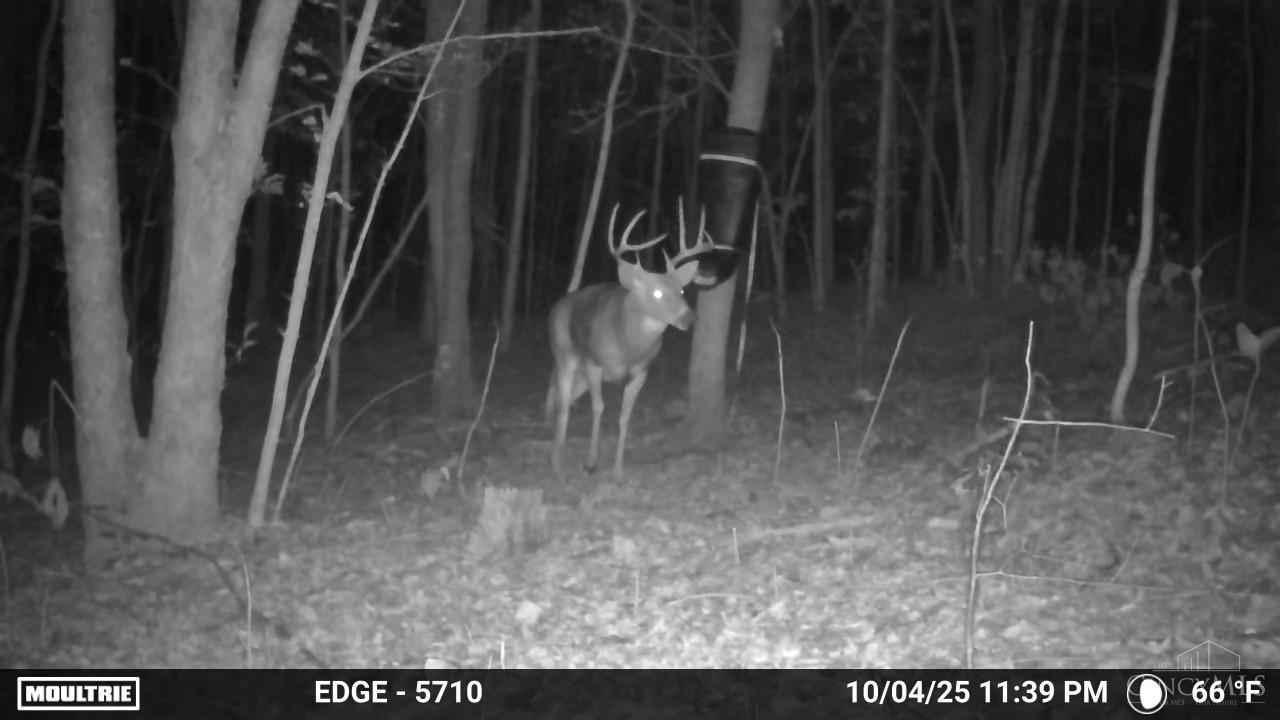 0 Spruce Hollow Road South Webster, OH 45682 - Photo 27 of 54
