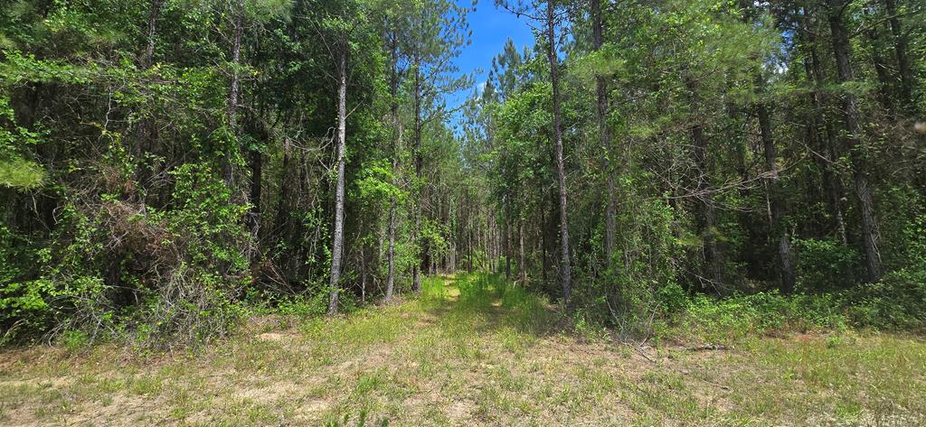 10 Mt Zion Road Gordon, AL 36343 - Photo 22 of 28
