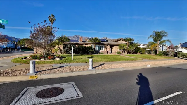 a park view with a bench in front of it