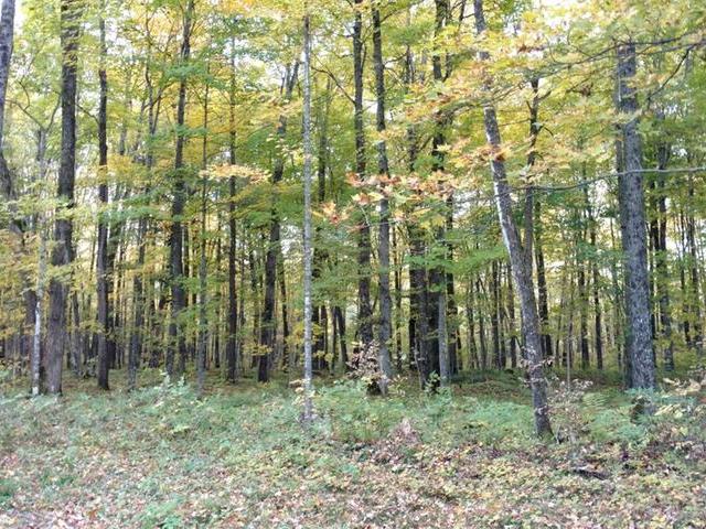On Power Line Road Phillips, WI 54555 - Photo 20 of 20 Gallery Image 20