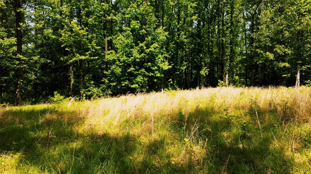 0 Olmstead Road Villa Ridge, IL 62996 - Photo 15 of 22