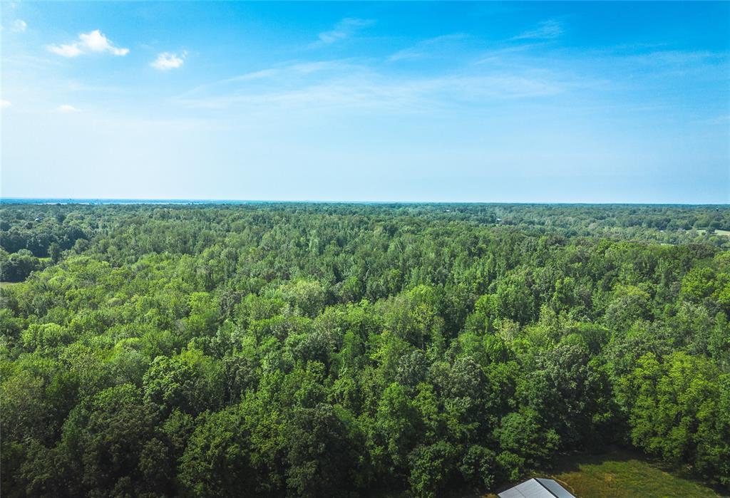 0 Olmstead Road Villa Ridge, IL 62996 - Photo 20 of 22