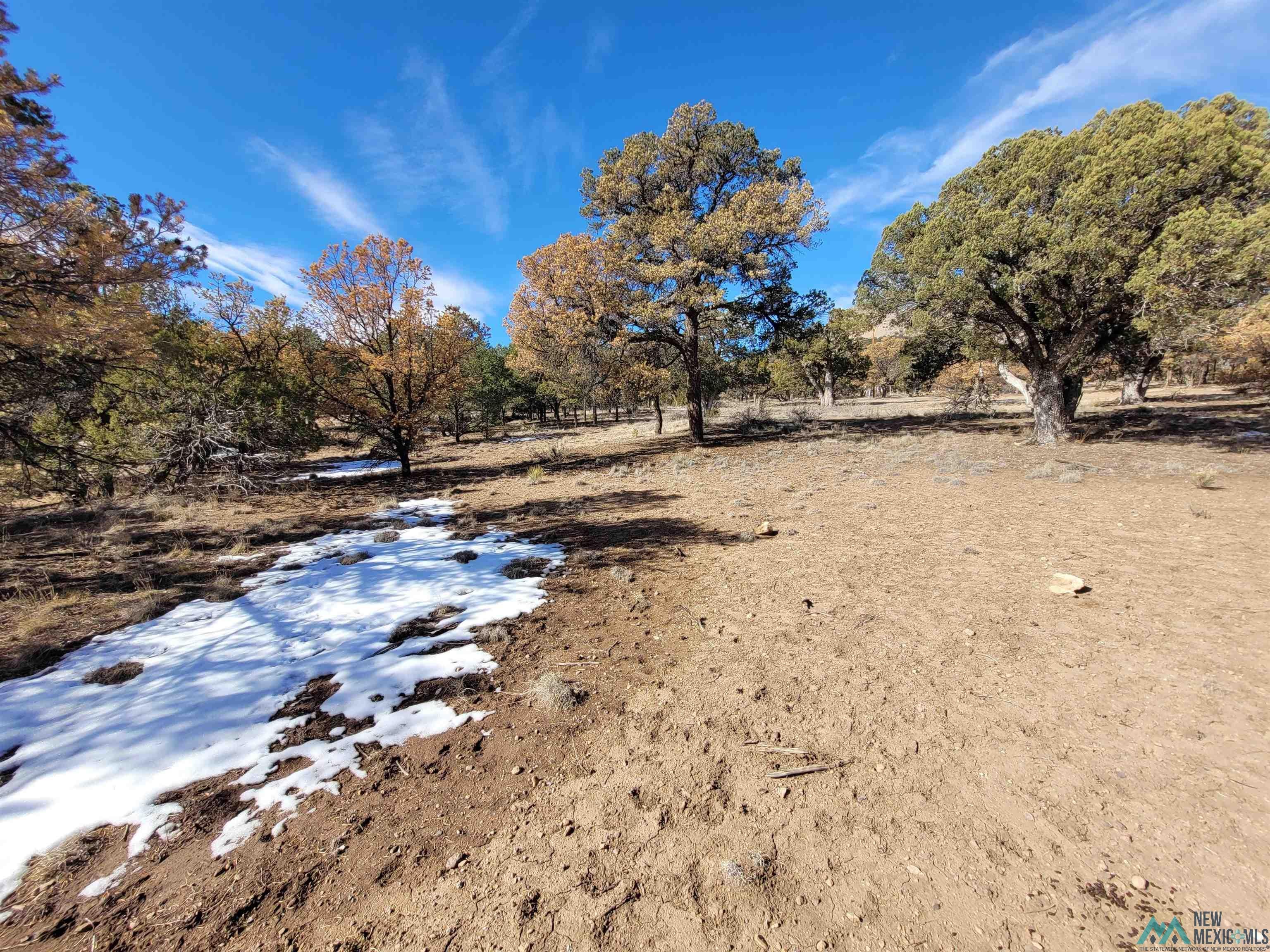 Xx Homestead Trail Datil, NM 87821 - Photo 9 of 20
