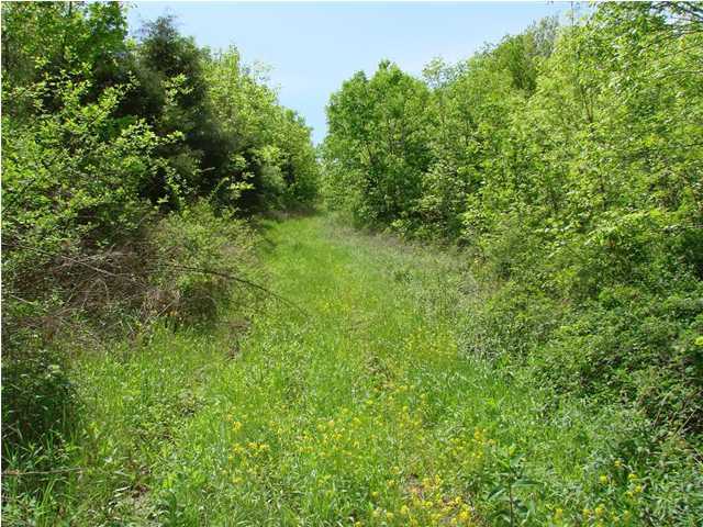 0 Love Ridge Road Chaplin, KY 40012 - Photo 2 of 3 Additional Photo