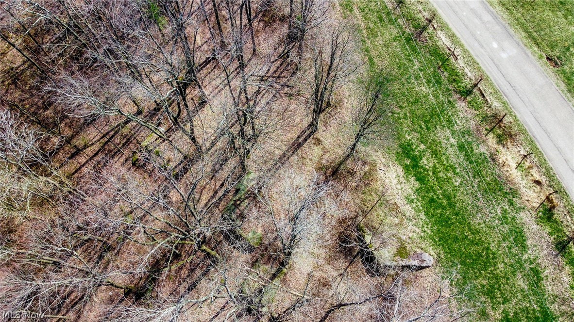 17805 Early Cemetary Road Kimbolton, OH 43749 - Photo 30 of 30 Bird's eye view