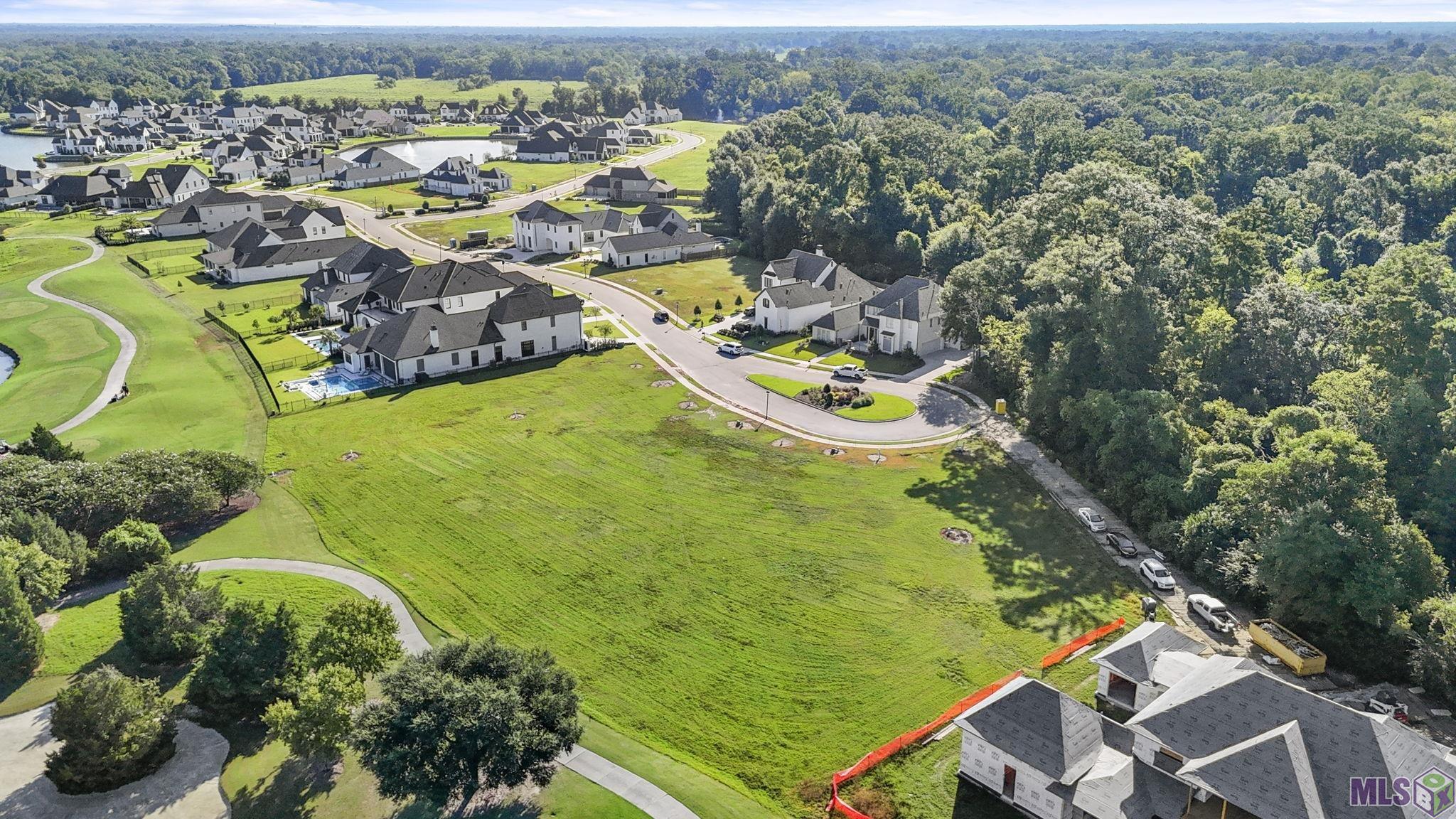 0 Thomas Boyd Drive Baton Rouge, LA 70810 - Photo 11 of 16