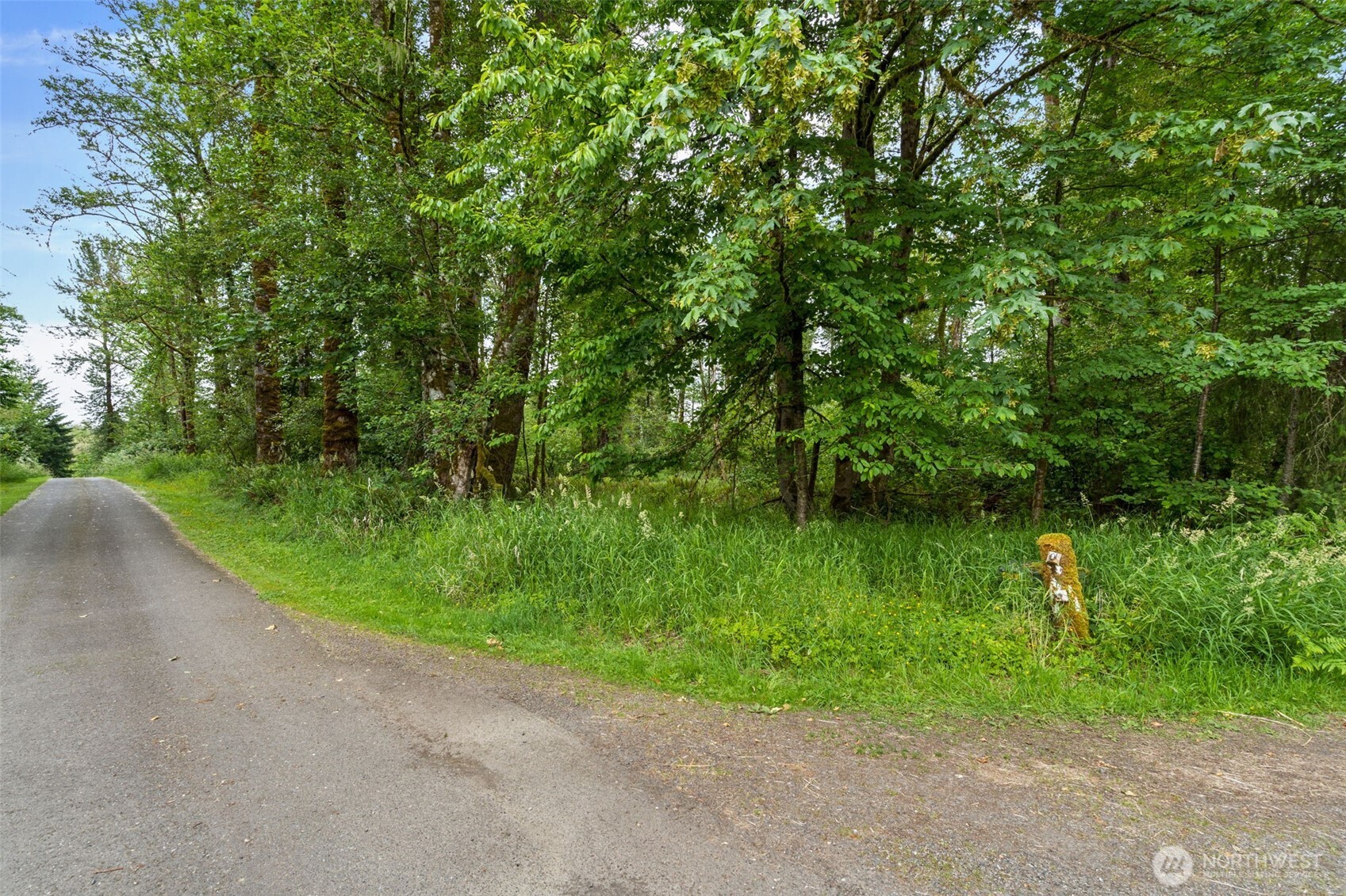 -xxx Harmony Road Mossyrock, WA 98564 - Photo 15 of 19