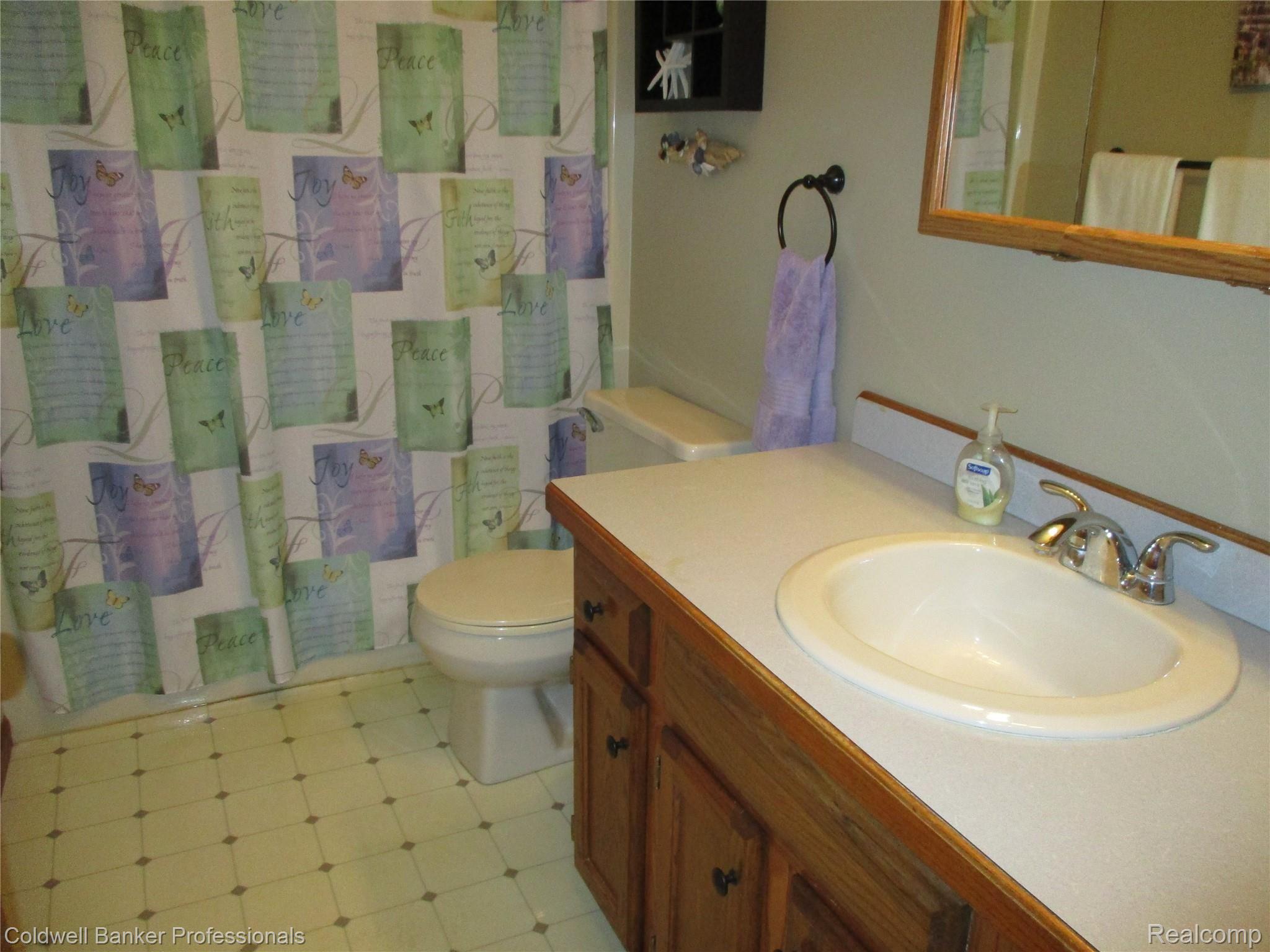 7096 South Ruess Road Owosso, MI 48867 - Photo 24 of 54 23 FULL BATH A.JPG