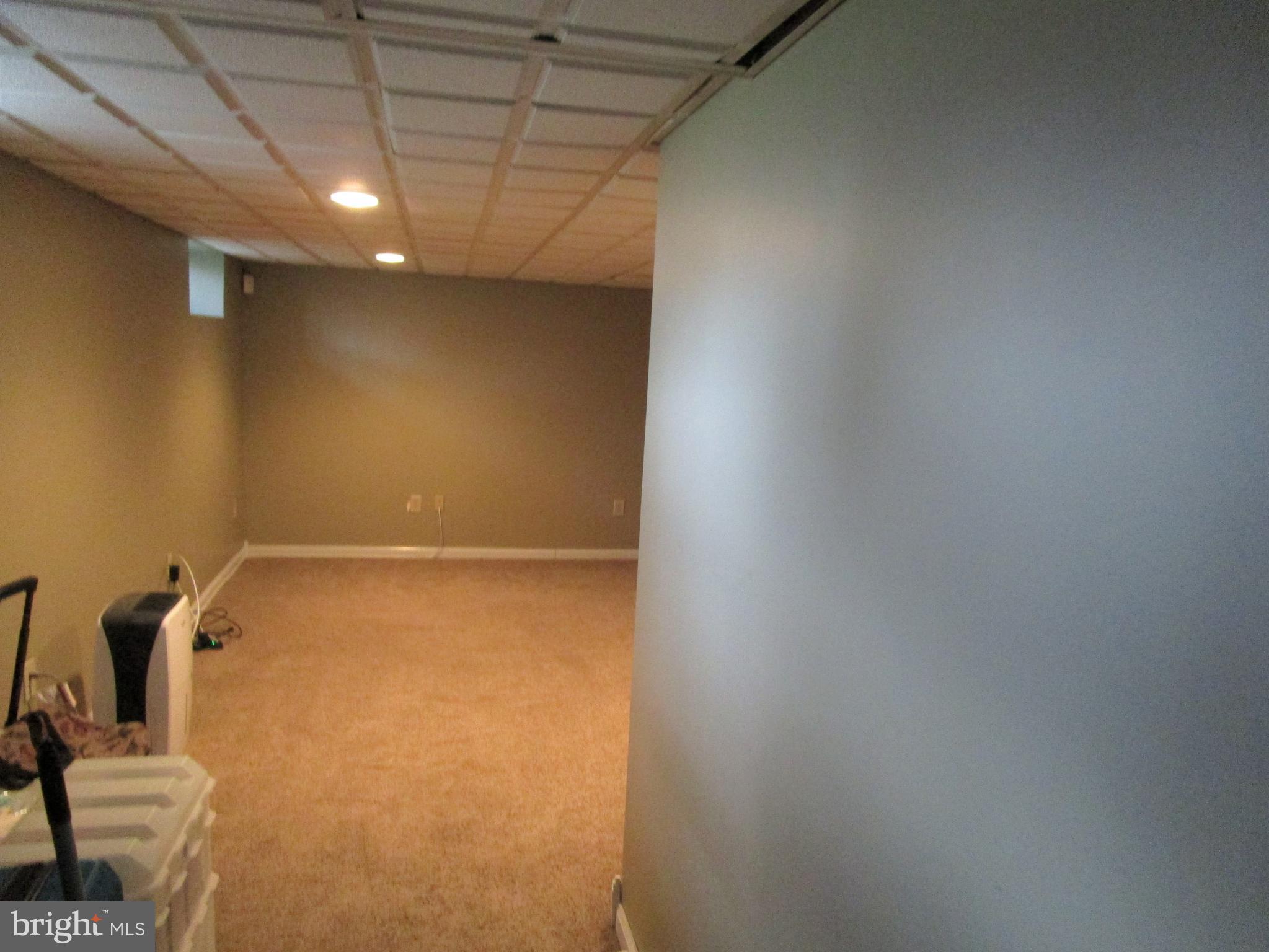 945 Marian Road Warminster, PA 18974 - Photo 20 of 21 basement, recessed lights and tons of closets