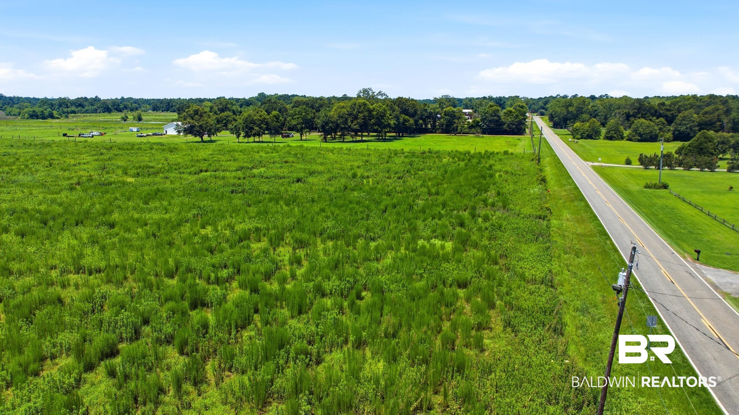 16322 Old Brady Road Bay Minette, AL 36507 - Photo 19 of 20