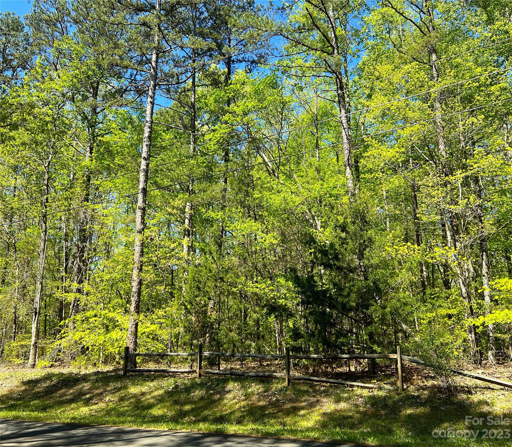 0 Newman Road Waxhaw, NC 28173 - Photo 3 of 3 Gallery Image 3