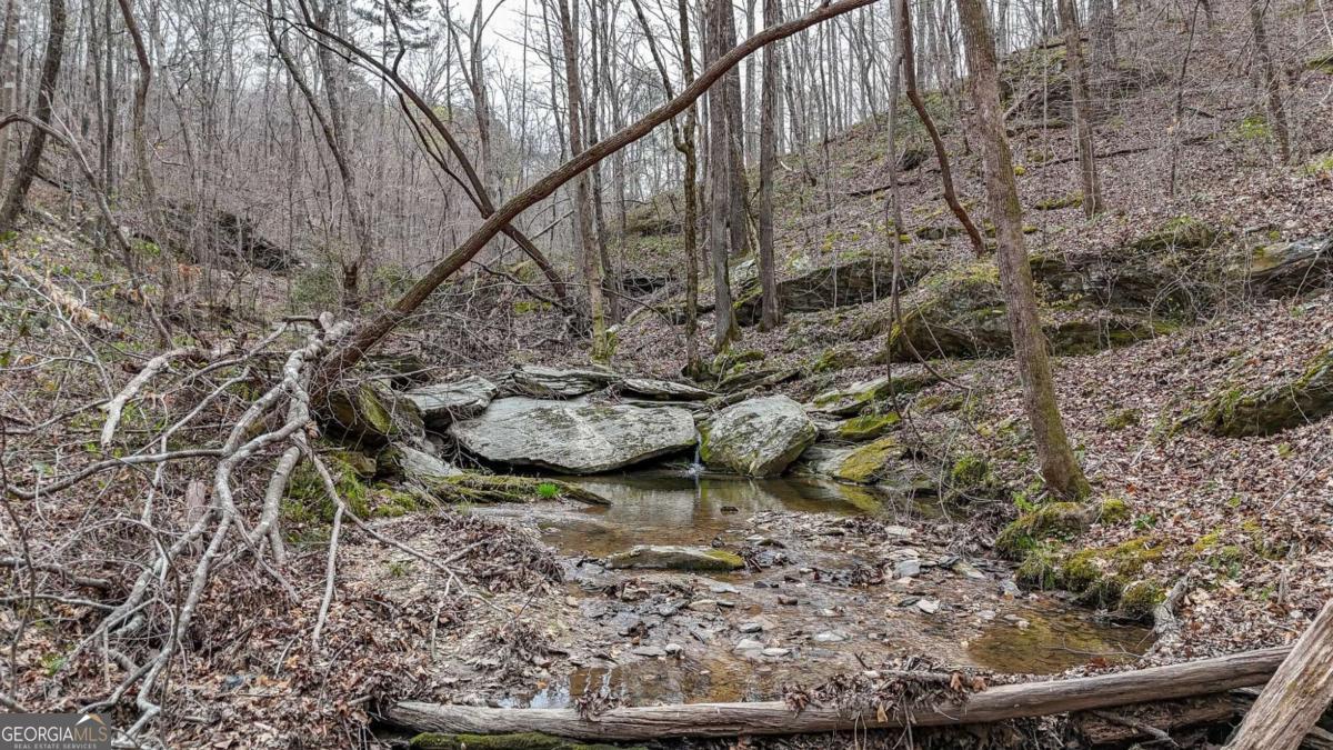 0 Felton Rockmart Road Buchanan, GA 30113 - Photo 5 of 47