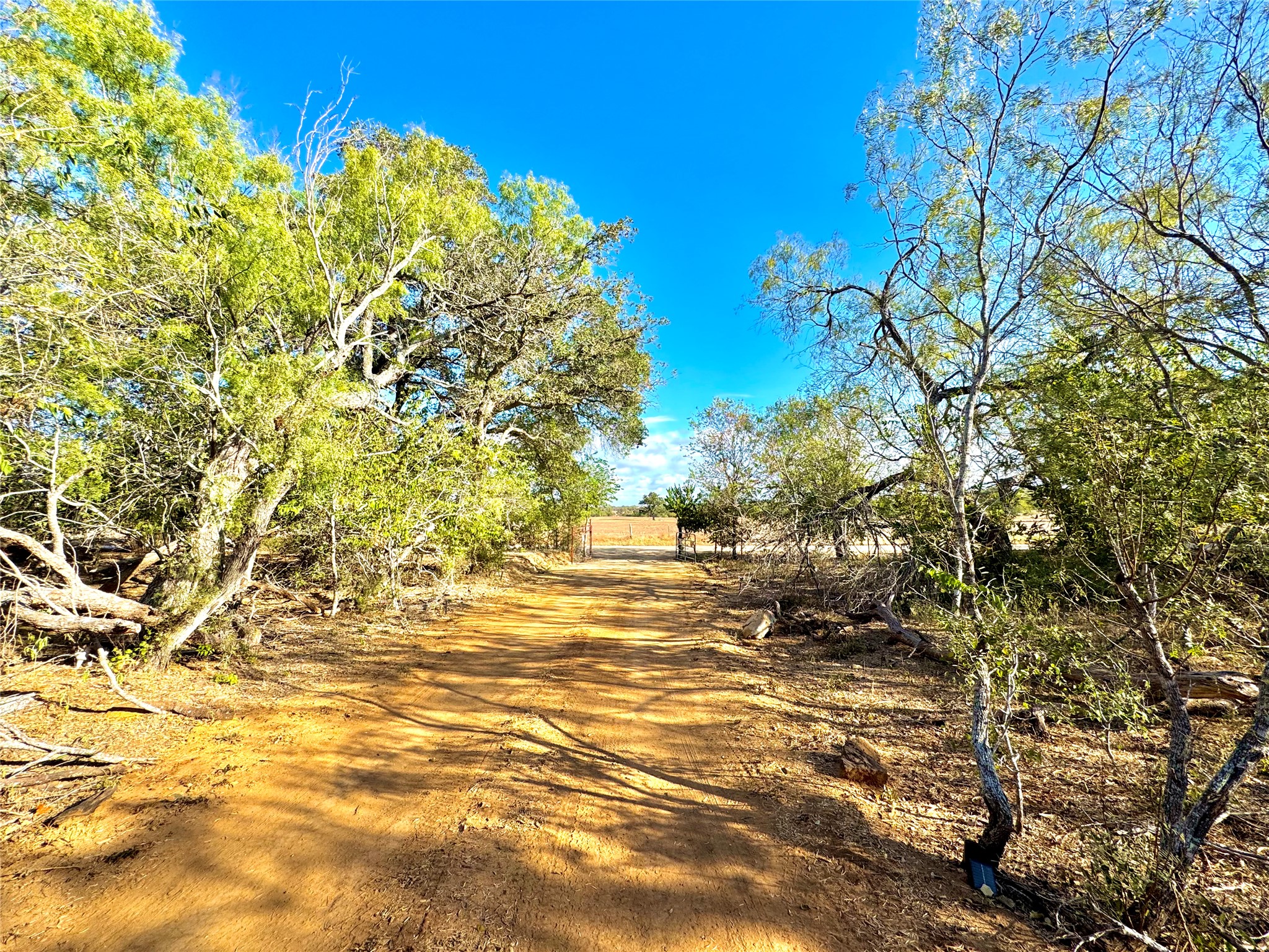 6052 Tenney Creek Road Luling, TX 78648 - Photo 6 of 22 View of dirt / gravel road