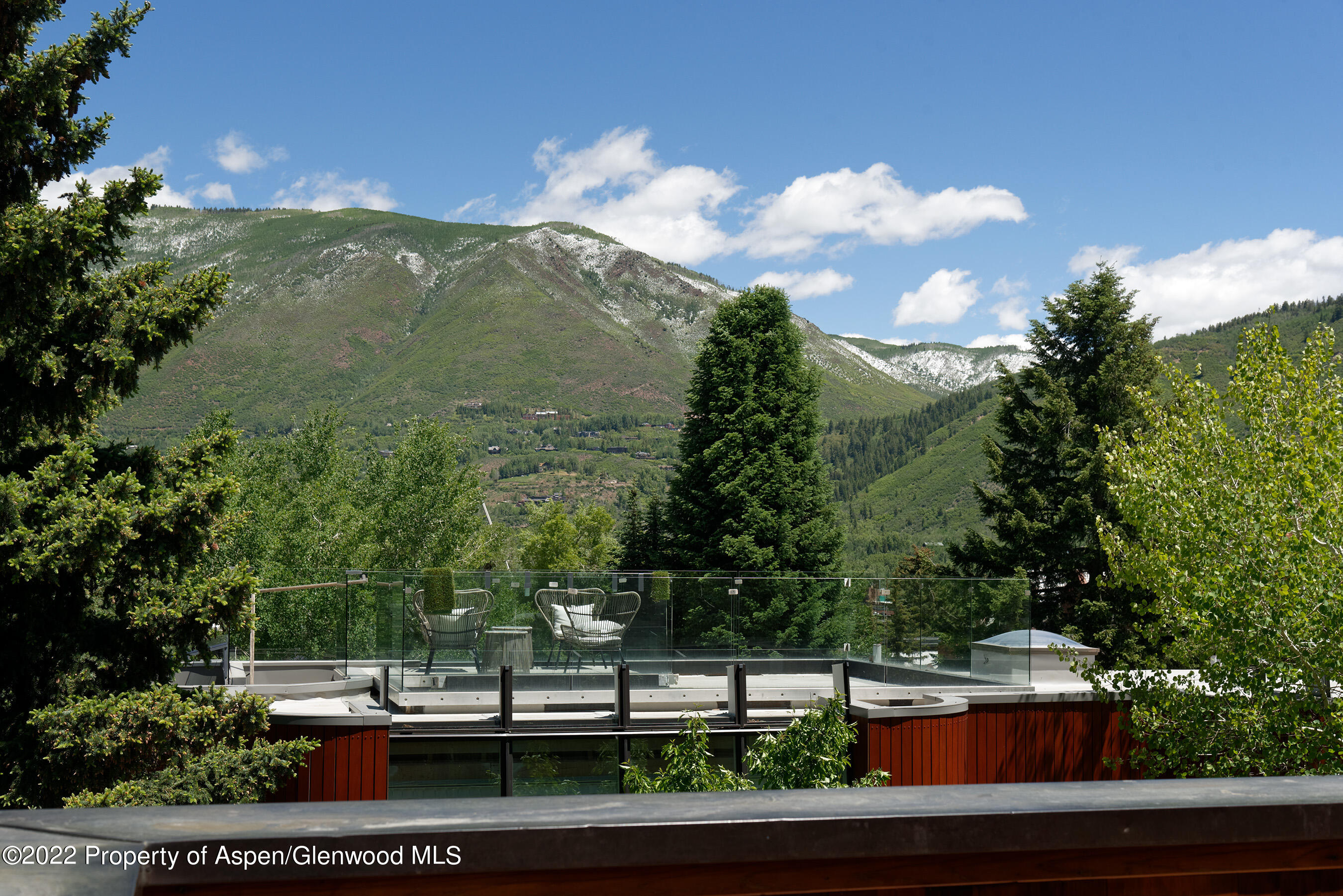 237 Gilbert Street Aspen, CO 81611 - Photo 25 of 28