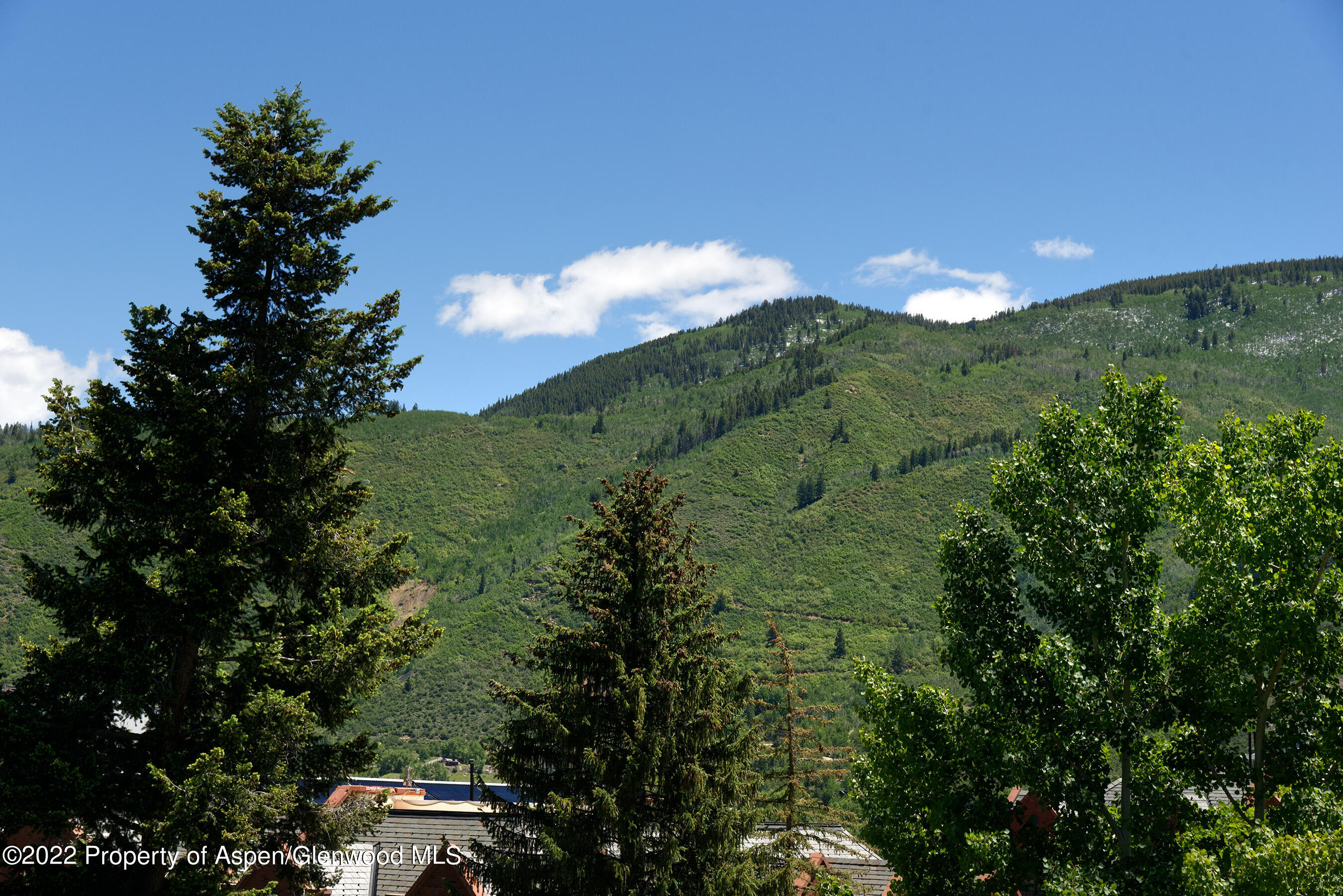 237 Gilbert Street Aspen, CO 81611 - Photo 27 of 28 a view of a city with lush green forest