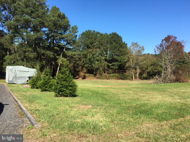 7109 Daffodil Lane Newark, MD 21841 - Photo 21 of 21 a view of a garden with trees