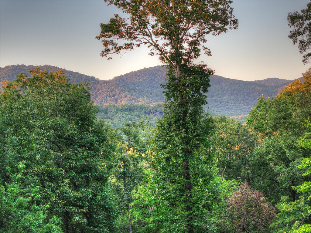169 Walnut Mountain Road Ellijay, GA 30536 - Photo 57 of 77 Gallery Image 57