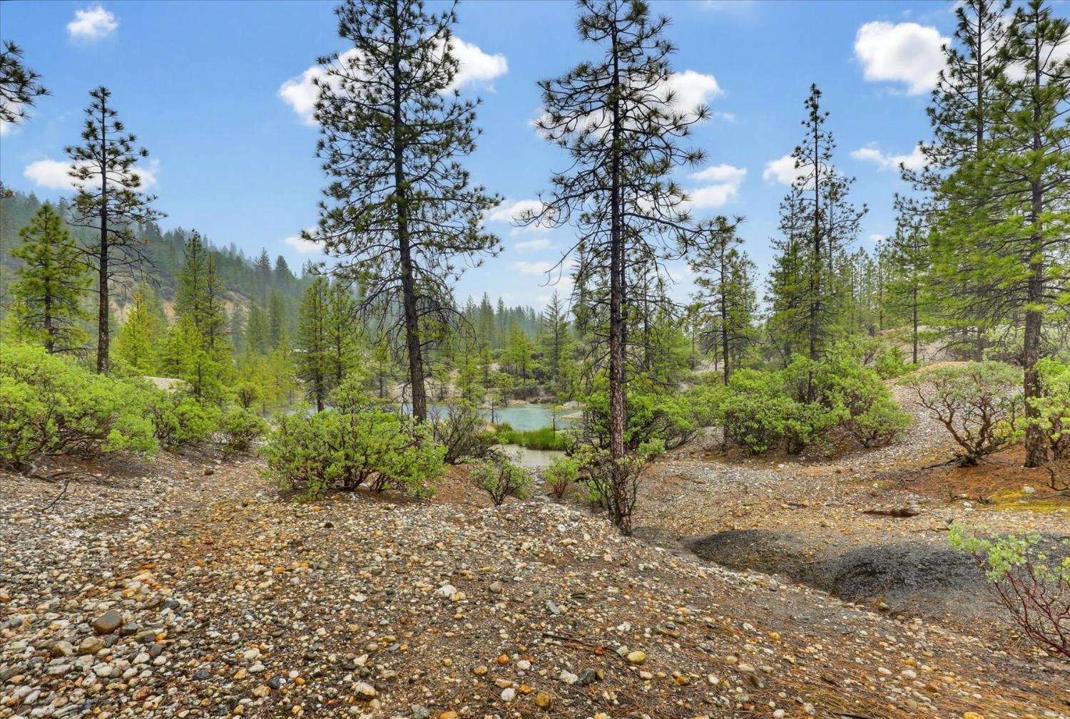 13751 Sailor Flat Road Nevada City, CA 95959 - Photo 32 of 49