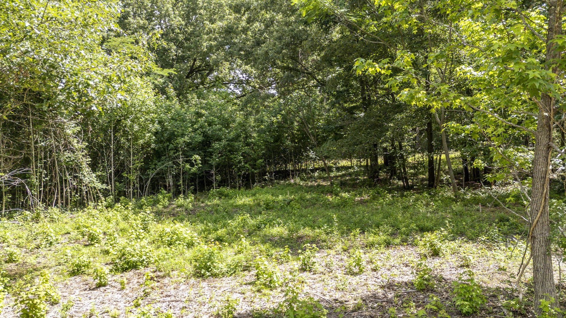 Xxx Oak Grove Road Savannah, TN 38372 - Photo 19 of 29