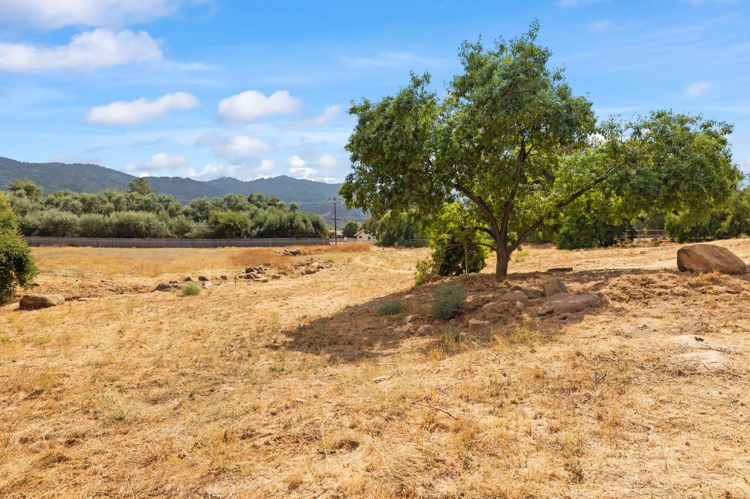 12810 Treeranch Road Ojai, CA 93023 - Photo 20 of 47 Gallery Image 20
