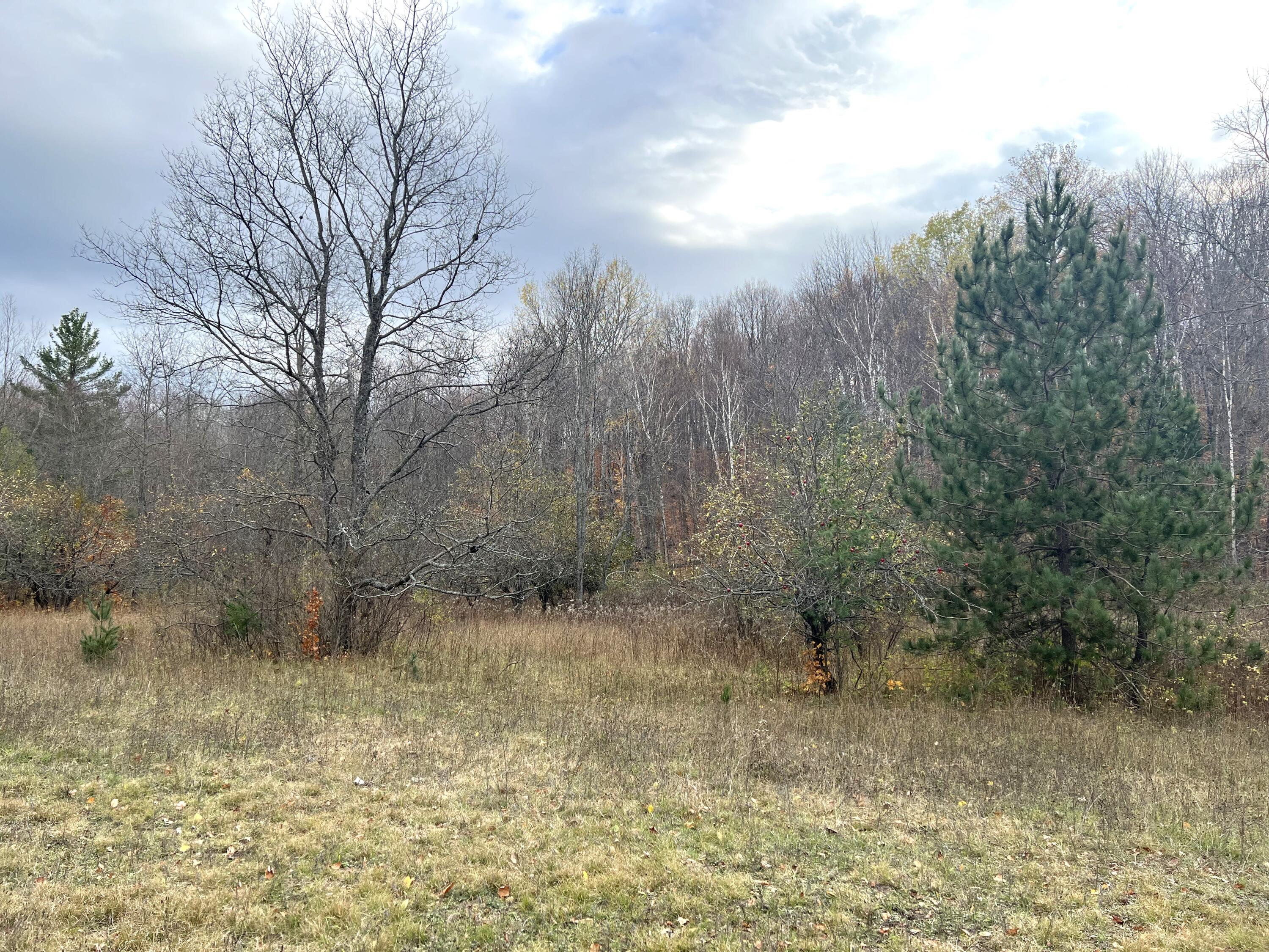 2768 Division Road Pellston, MI 49769 - Photo 1 of 15 Gallery Image 1