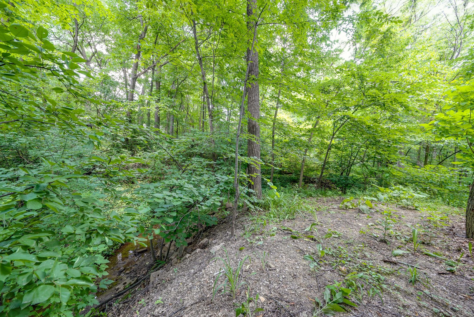 21690 Ravine Road Lake Zurich, IL 60047 - Photo 34 of 35 Gallery Image 34