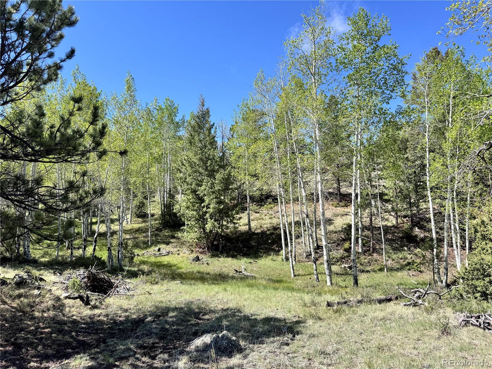 Dilley Road Westcliffe, CO 81252 - Photo 15 of 16