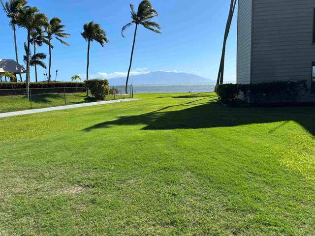 a view of a garden and palm trees