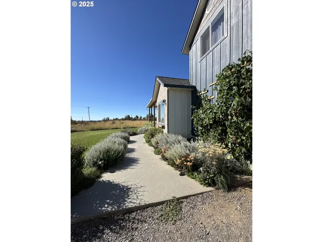 a view of a garden with an outdoor space