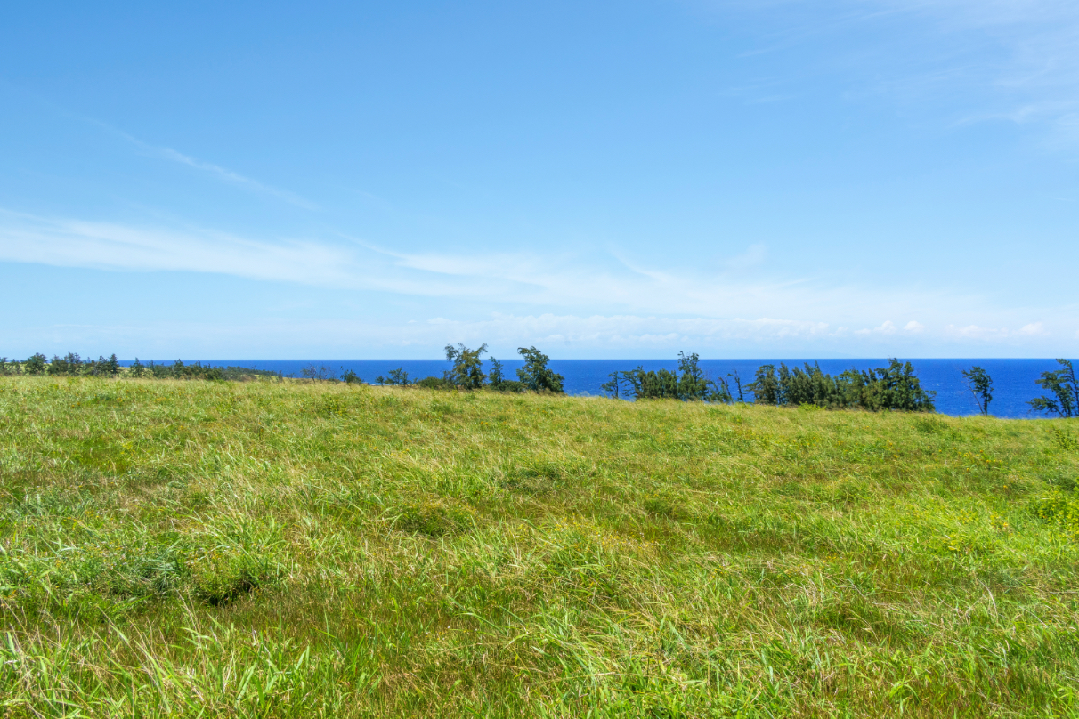 2 Uli Road Kapaau, HI 96755 - Photo 11 of 13