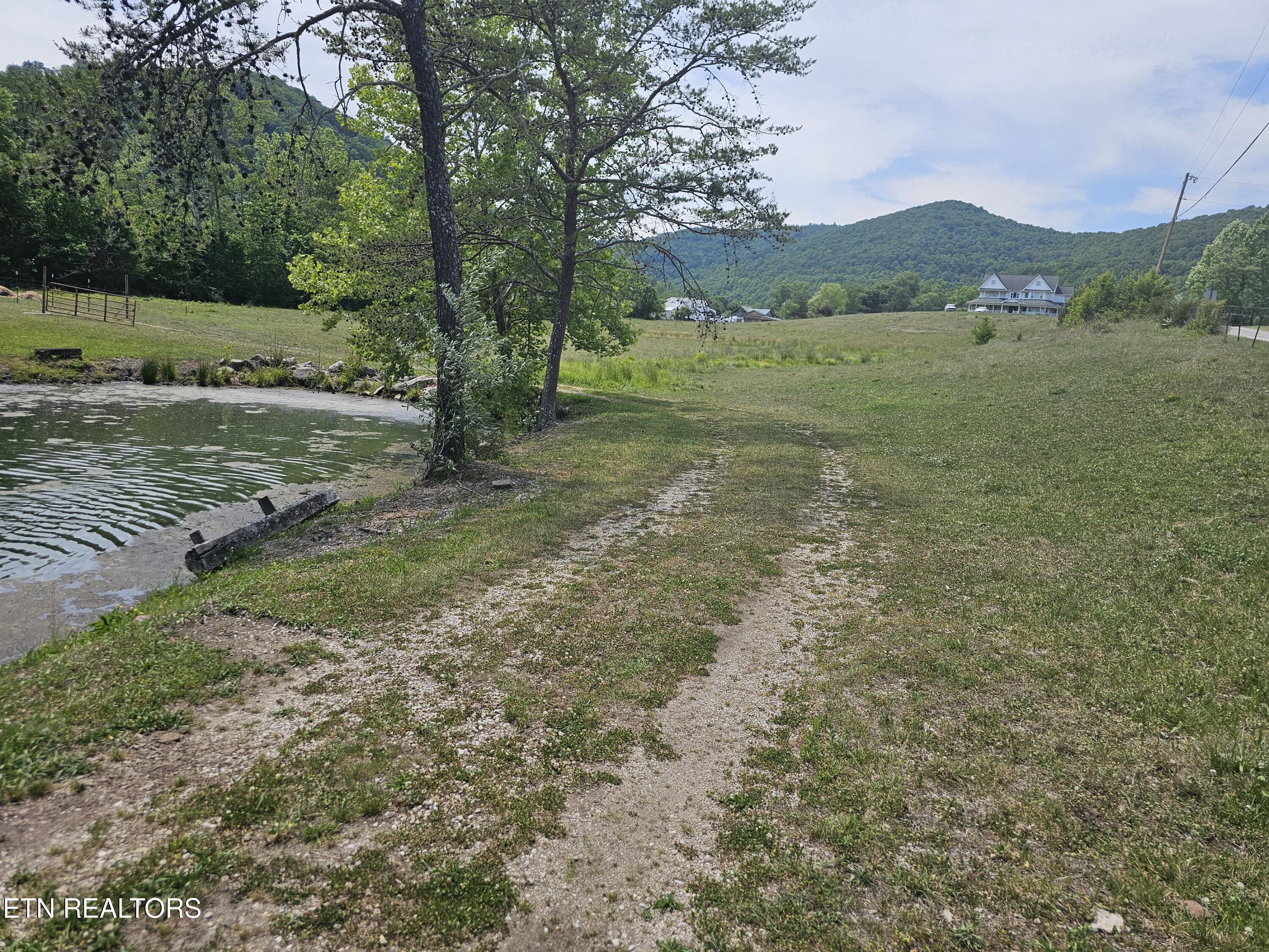 275 Republican Hill Road Newcomb, TN 37819 - Photo 6 of 34 Surrounded by Mountains