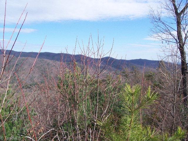 68 Elk Horn Road Ferguson, NC 28624 - Photo 1 of 6 Main View