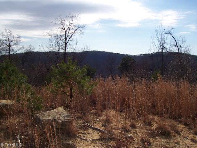 68 Elk Horn Road Ferguson, NC 28624 - Photo 2 of 6 Gallery Image 2