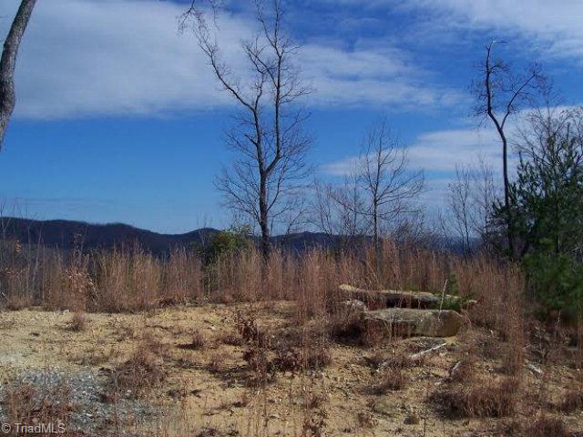 68 Elk Horn Road Ferguson, NC 28624 - Photo 3 of 6 Gallery Image 3