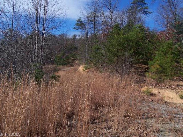 68 Elk Horn Road Ferguson, NC 28624 - Photo 4 of 6 Gallery Image 4