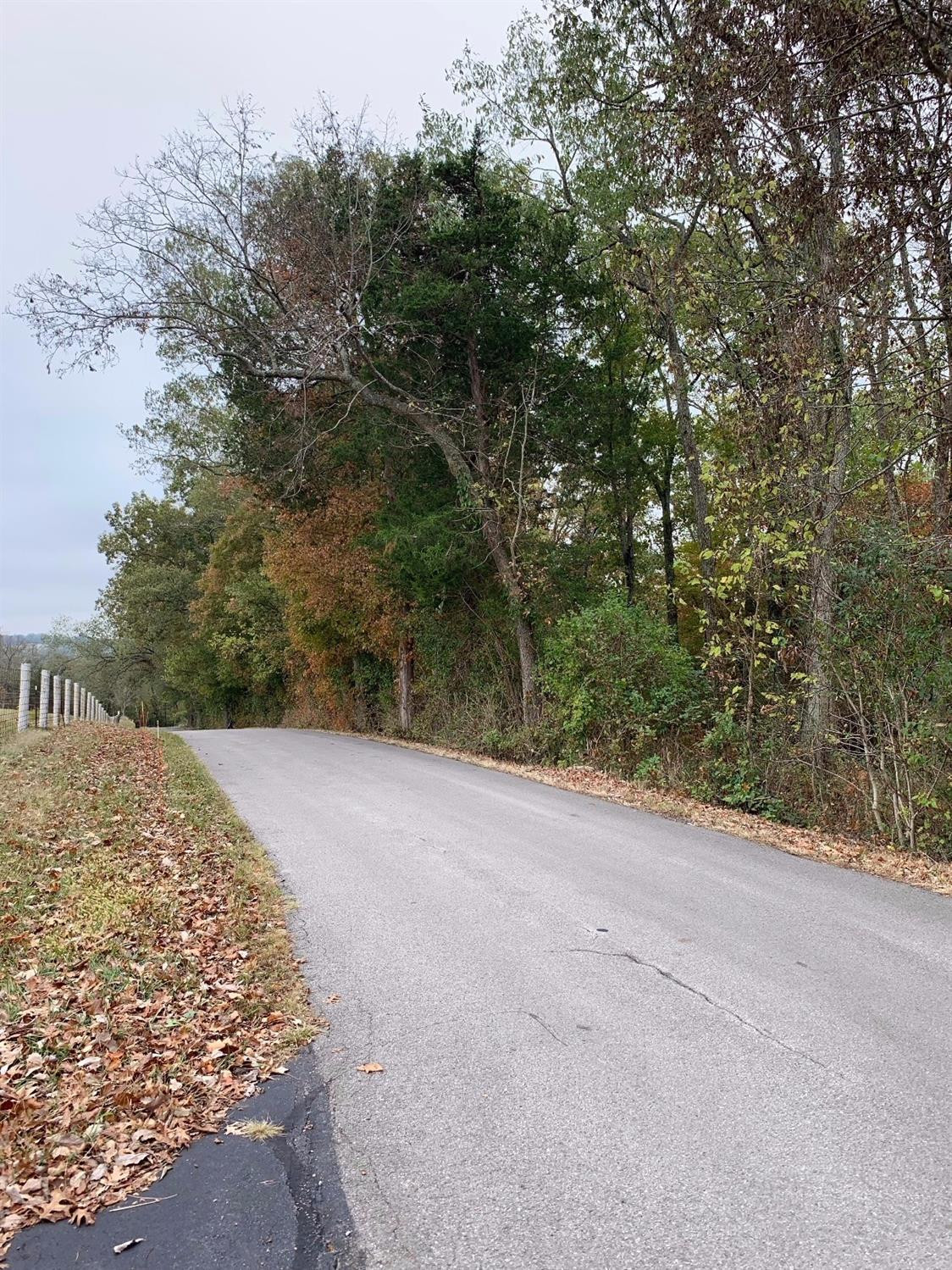 1499 Hifner Road Versailles, KY 40383 - Photo 3 of 6 Listing Photo