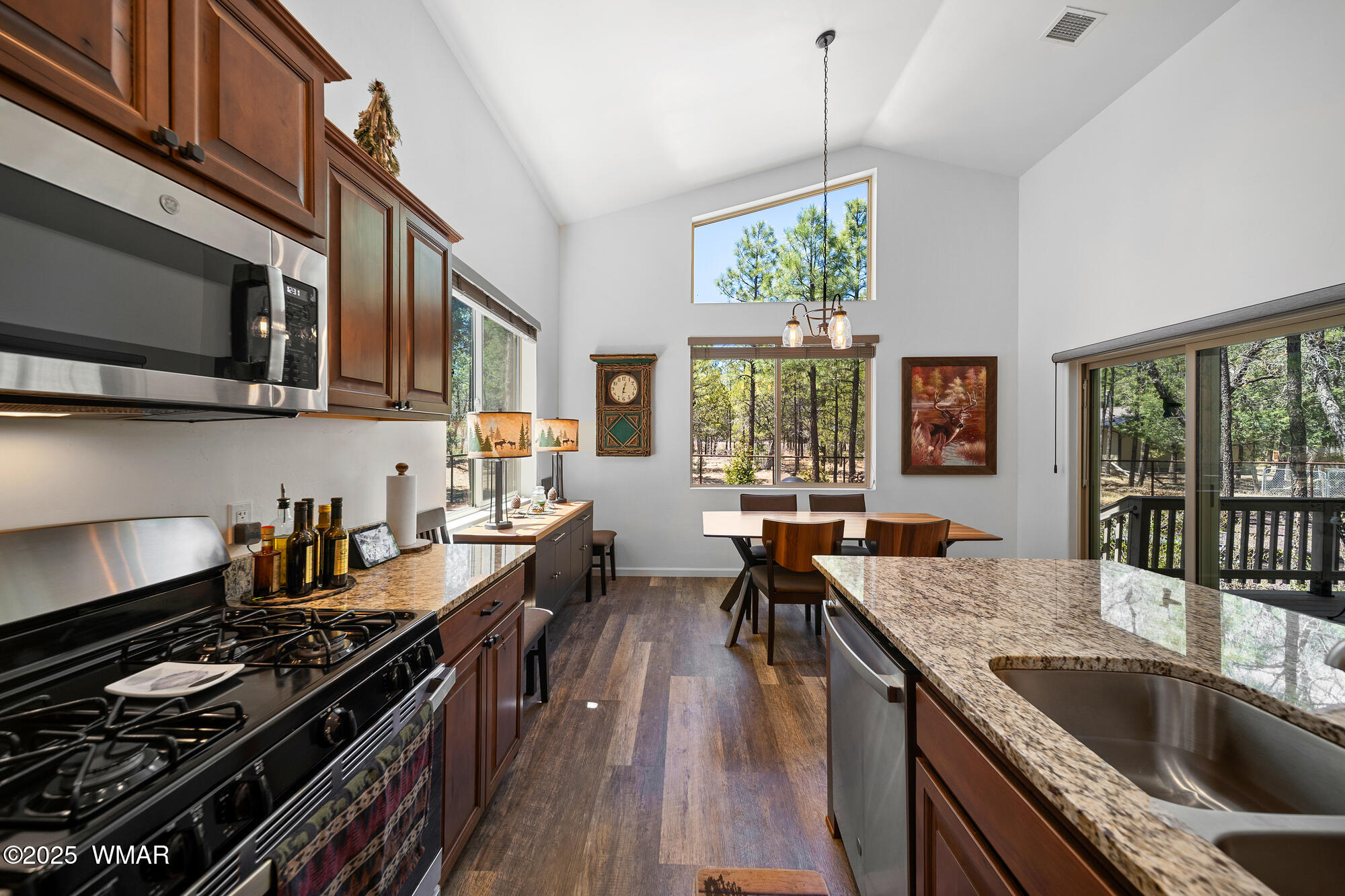 242 Frog Island Road Lakeside, AZ 85929 - Photo 8 of 28 Granite & stainless steel appliances