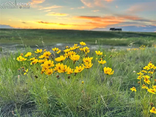 $1,295,000 | 18320 Falcon Highway, Peyton, CO 80831