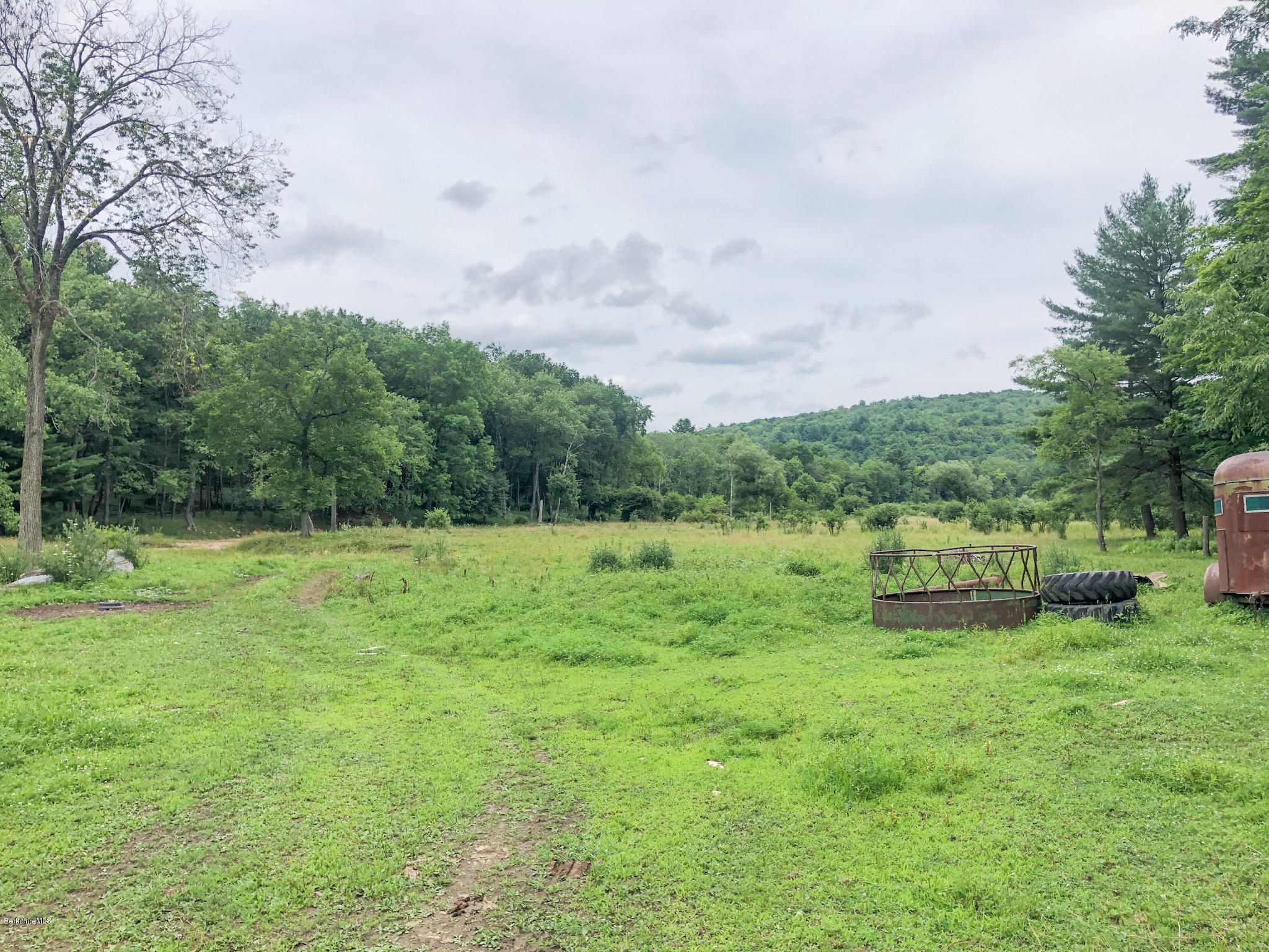 93 Lower Valley Road Washington, MA 01223 - Photo 11 of 15 a view of a garden with an trees