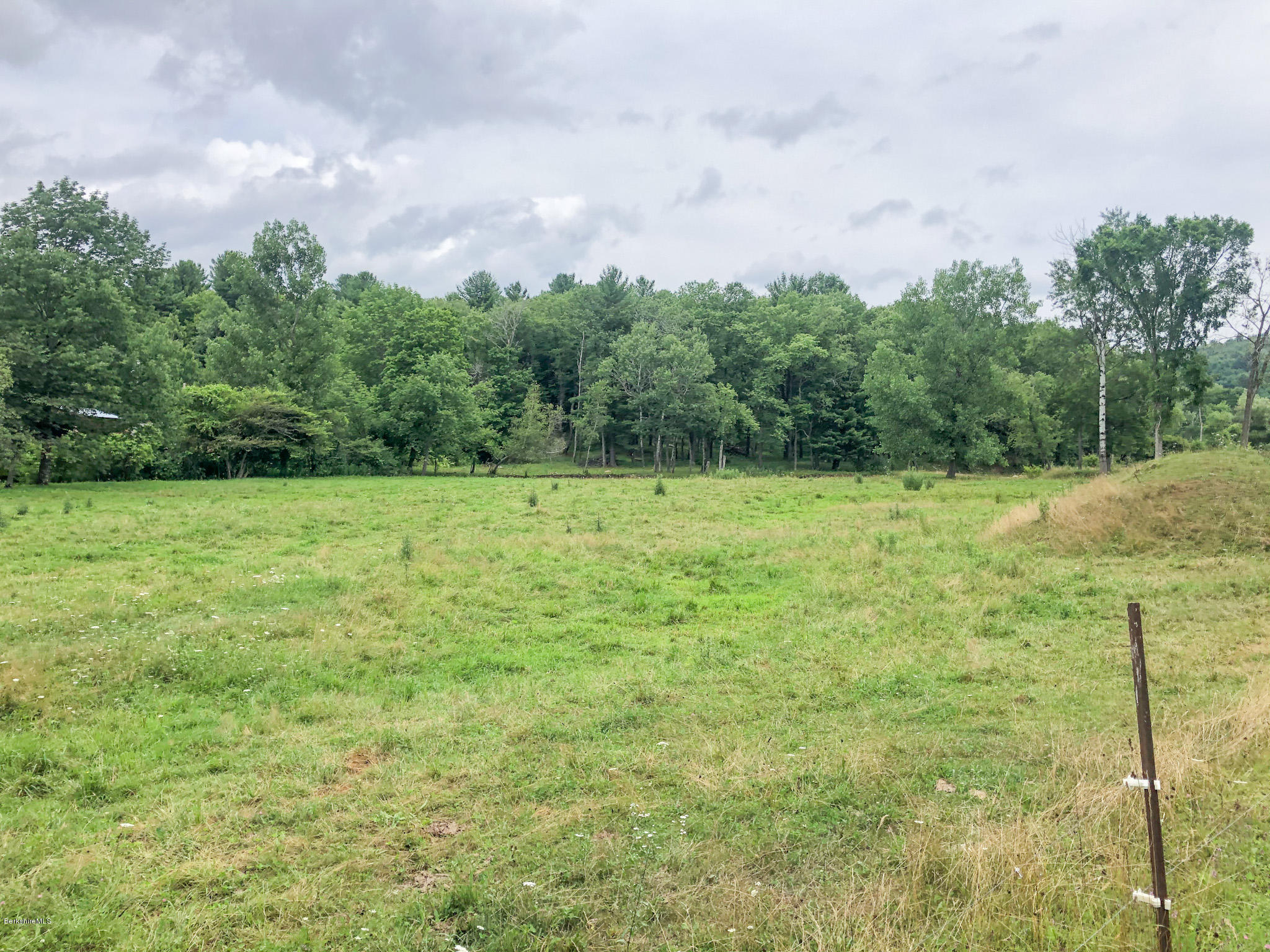 93 Lower Valley Road Washington, MA 01223 - Photo 12 of 15 a view of a grassy field with trees in the background